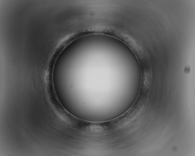 X0000103320636200809051148