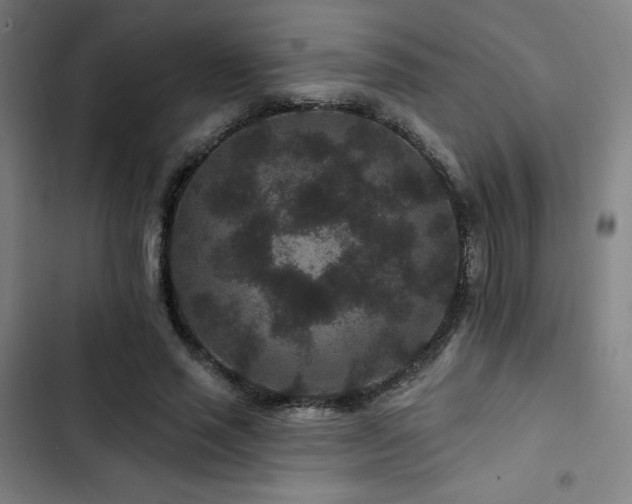 X0000103320637200809051148