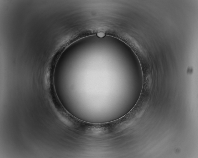 X0000103320638200809051148