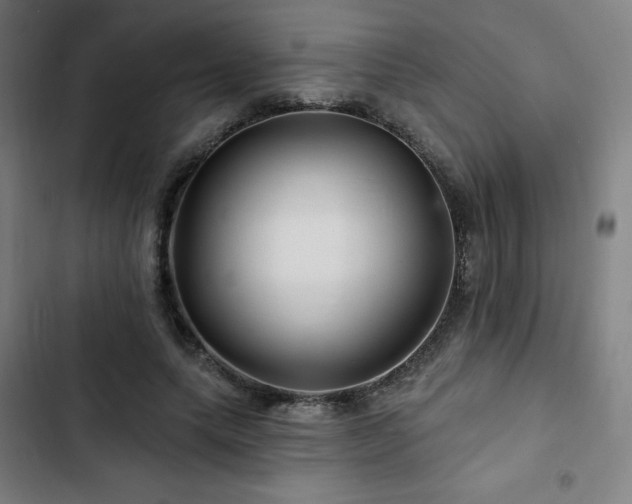 X0000103320639200809051148