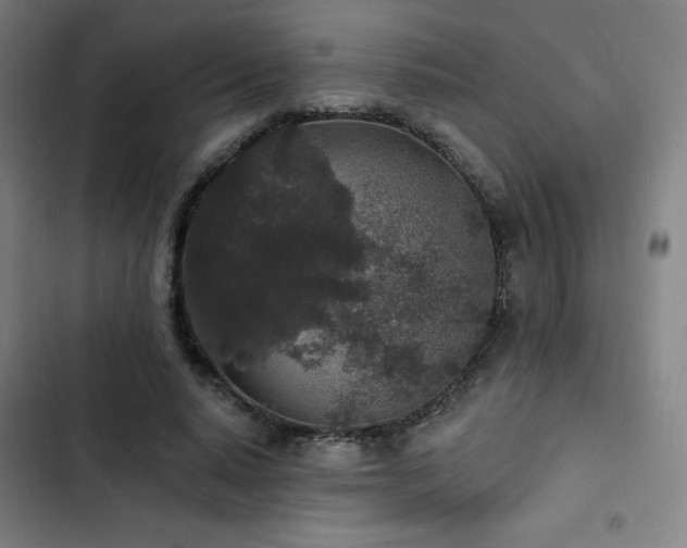 X0000103320640200809051148