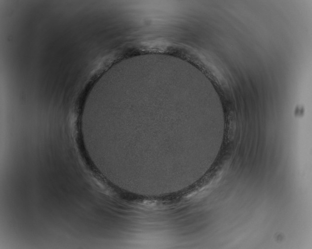 X0000103320641200809051148
