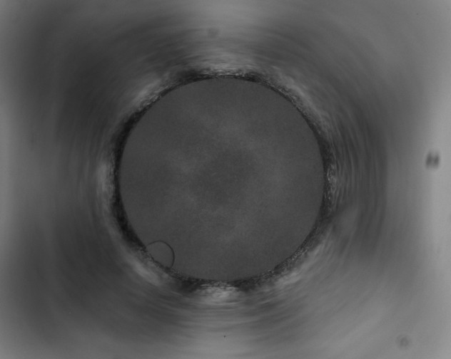X0000103320642200809051148
