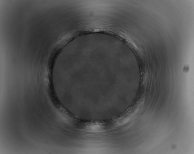 X0000103320643200809051148