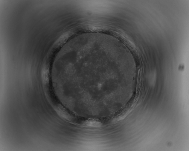 X0000103320644200809051148