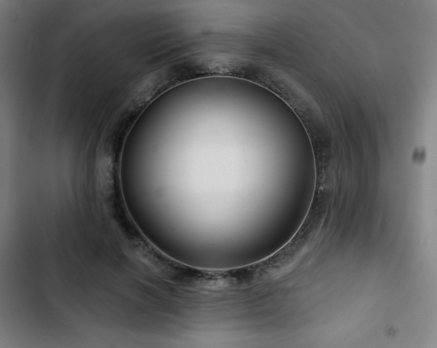 X0000103320646200809051148