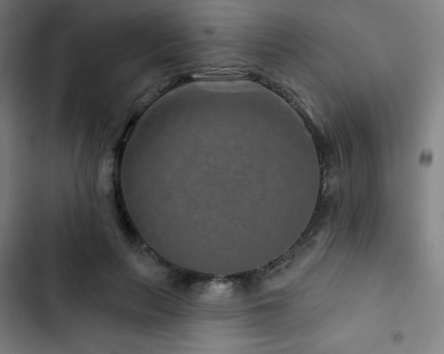 X0000103320647200809051148