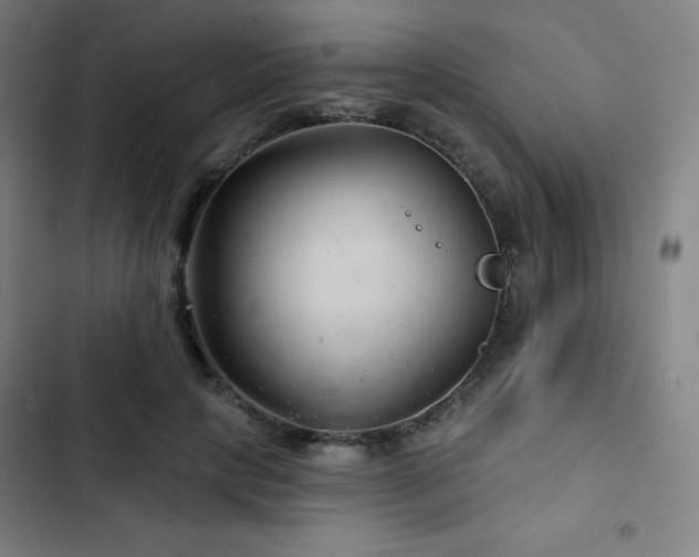 X0000103320649200809051148