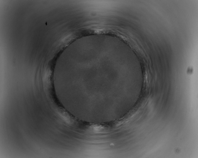 X0000103320650200809051148