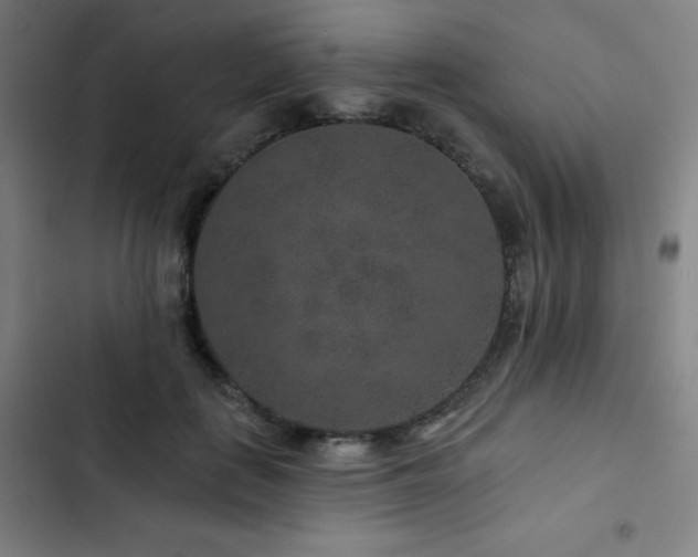 X0000103320651200809051148