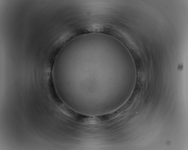 X0000103320652200809051148
