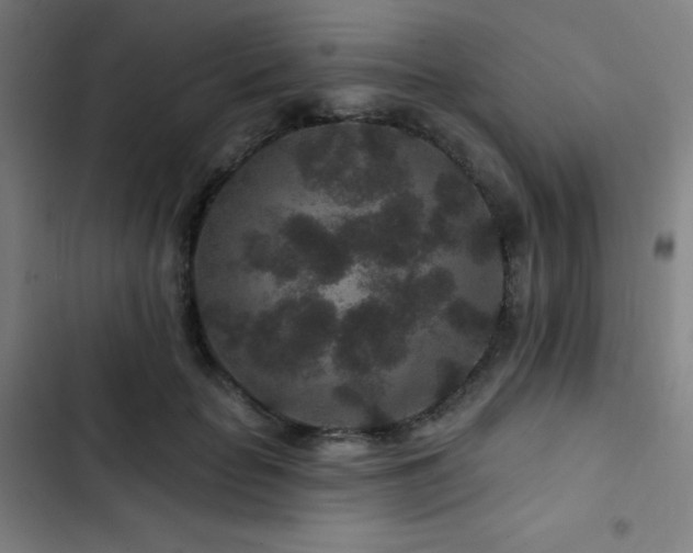 X0000103320653200809051148