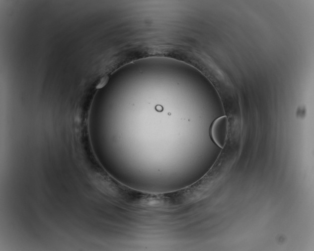X0000103320655200809051148