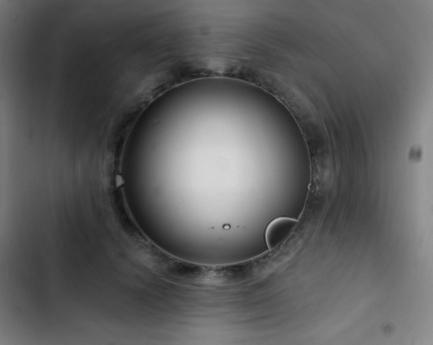 X0000103320656200809051148