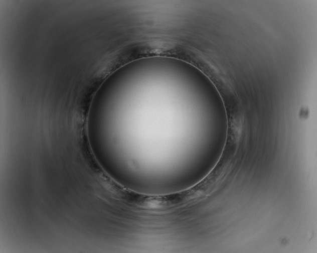 X0000103320657200809051148