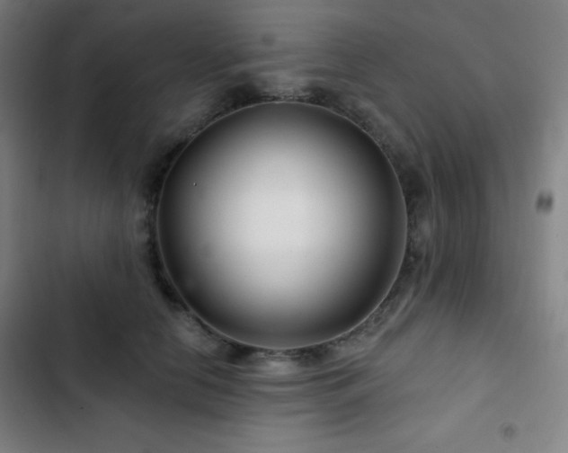 X0000103320658200809051148