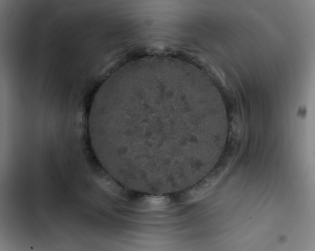 X0000103320659200809051148