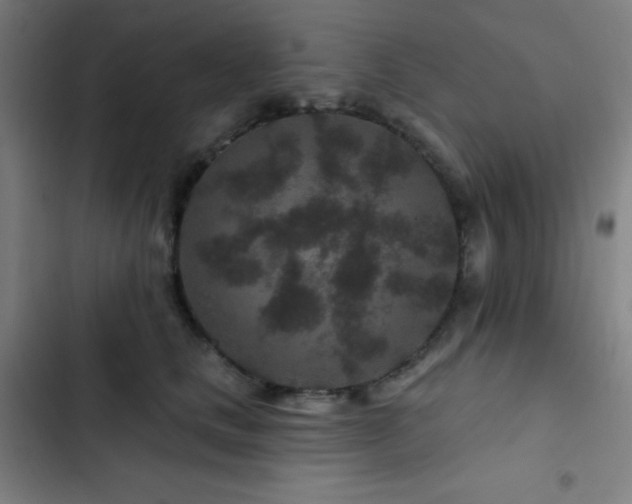 X0000103320661200809051148