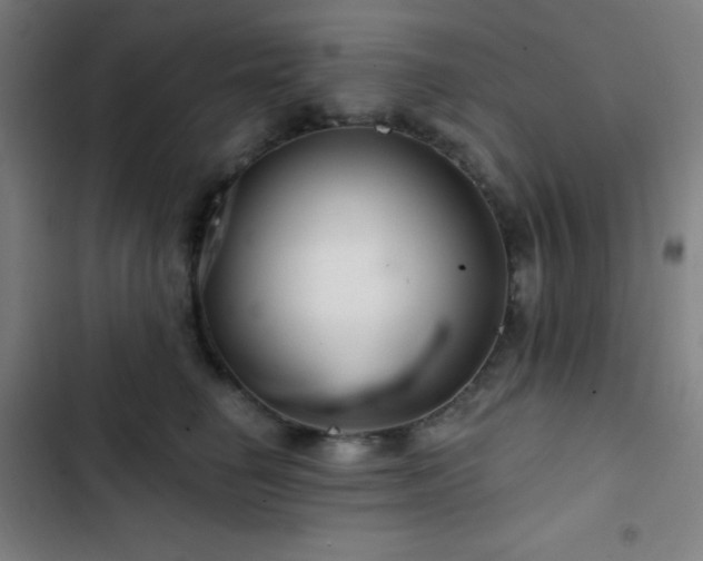 X0000103320662200809051148