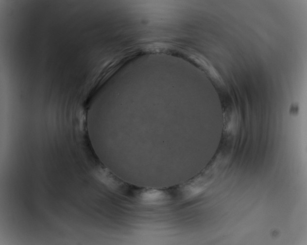 X0000103320669200809051148