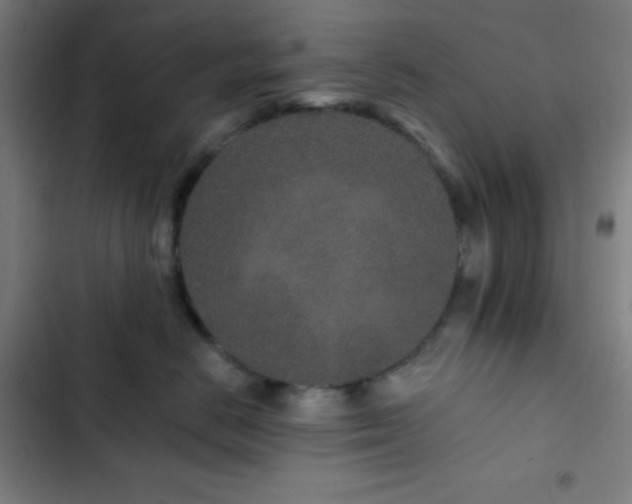 X0000103320670200809051148