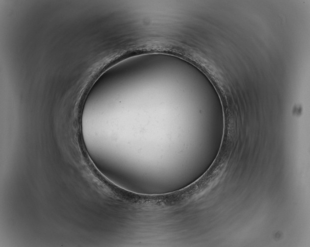 X0000103320673200809051148