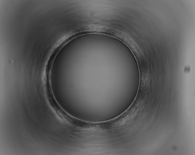 X0000103320674200809051148