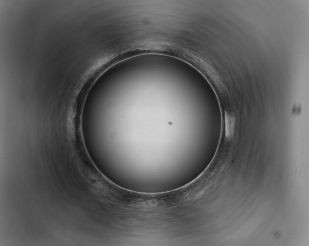 X0000103320675200809051148