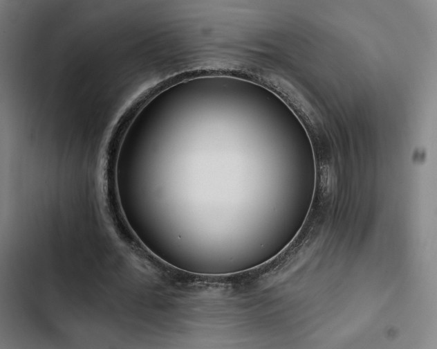 X0000103320676200809051148