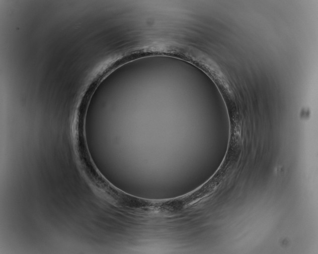 X0000103320678200809051148