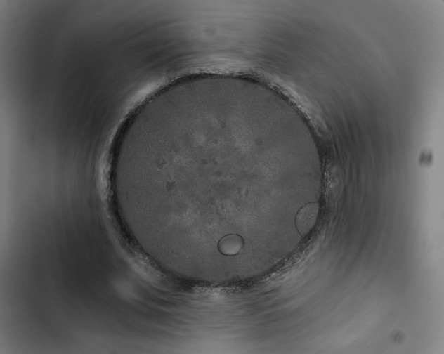 X0000103320679200809051148