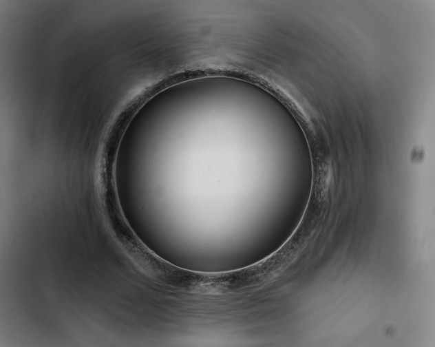 X0000103320680200809051148