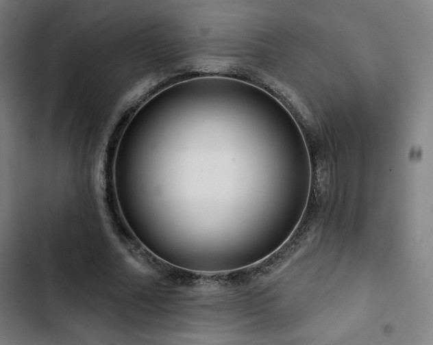 X0000103320682200809051148