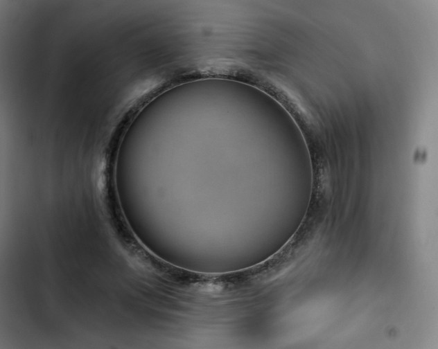 X0000103320687200809051147