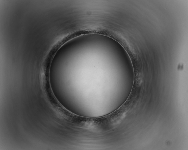 X0000103320688200809051147