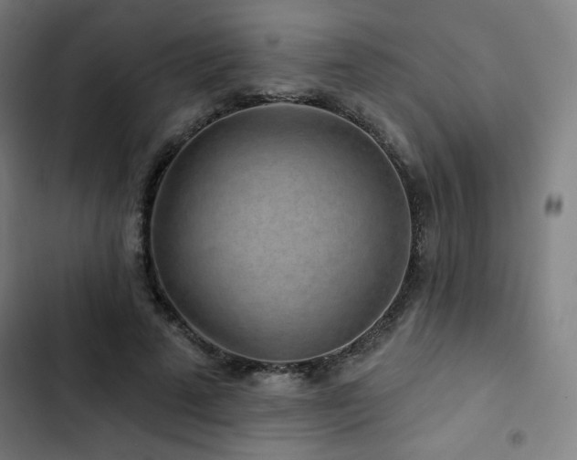 X0000103320689200809051147