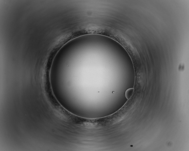 X0000103320690200809051147