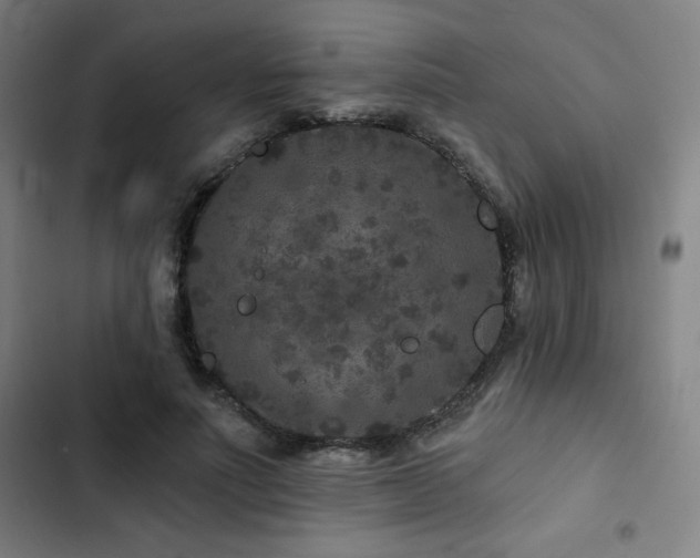 X0000103320691200809051147