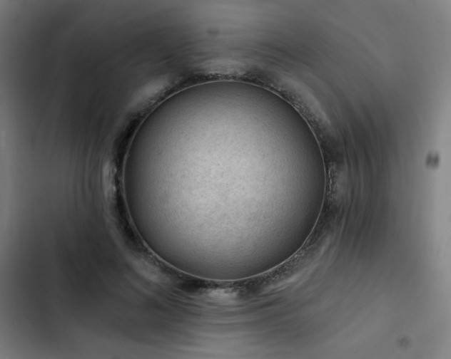 X0000103320692200809051147