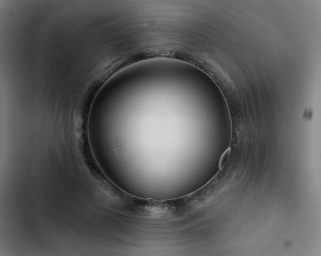 X0000103320693200809051147
