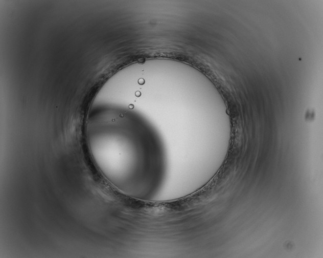 X0000103320695200809051147