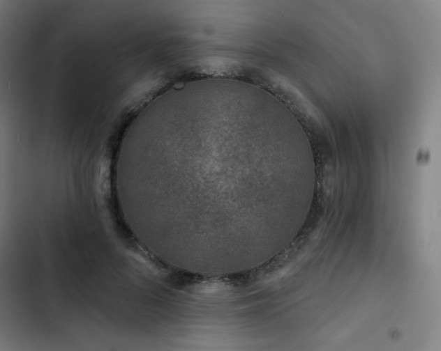 X0000103320696200809051147