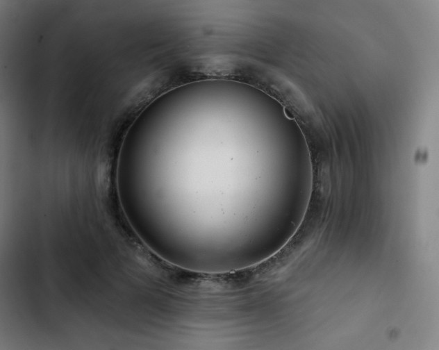 X0000103320697200809051147