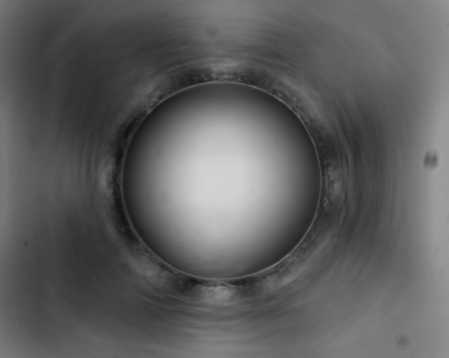 X0000103320698200809051147