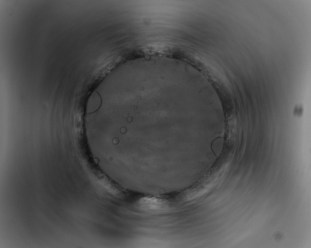 X0000103320699200809051147