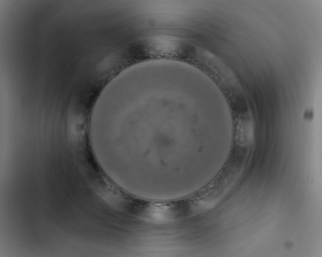 X0000103320701200809051147