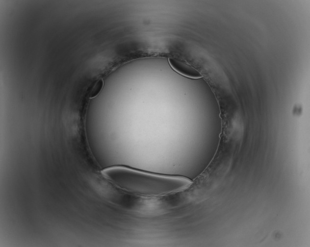 X0000103320704200809051147