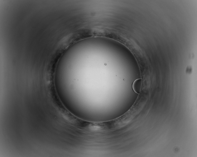 X0000103320706200809051147