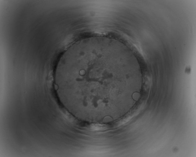 X0000103320707200809051147