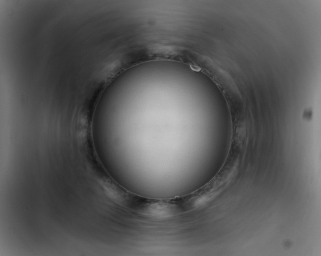 X0000103320708200809051147